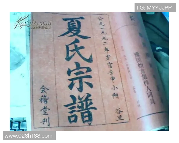 利姓足球明星的辉煌历程与成就解析 利姓足球明星的辉煌历程与成就解析